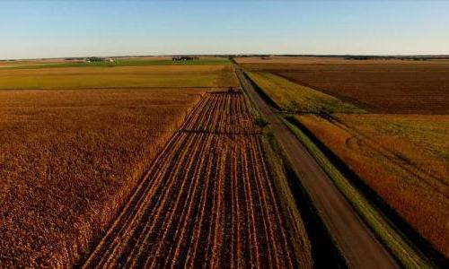 农场的玉米地一直延伸到地平线